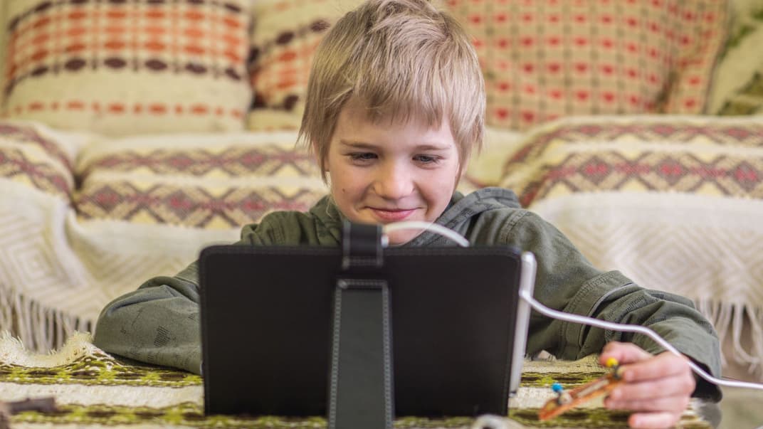 Ученик младших классов занимается онлайн в школе во время карантина из-за пандемии COVID-19. Одна из профессий, которая появилась во время пандемии — онлайн-няня