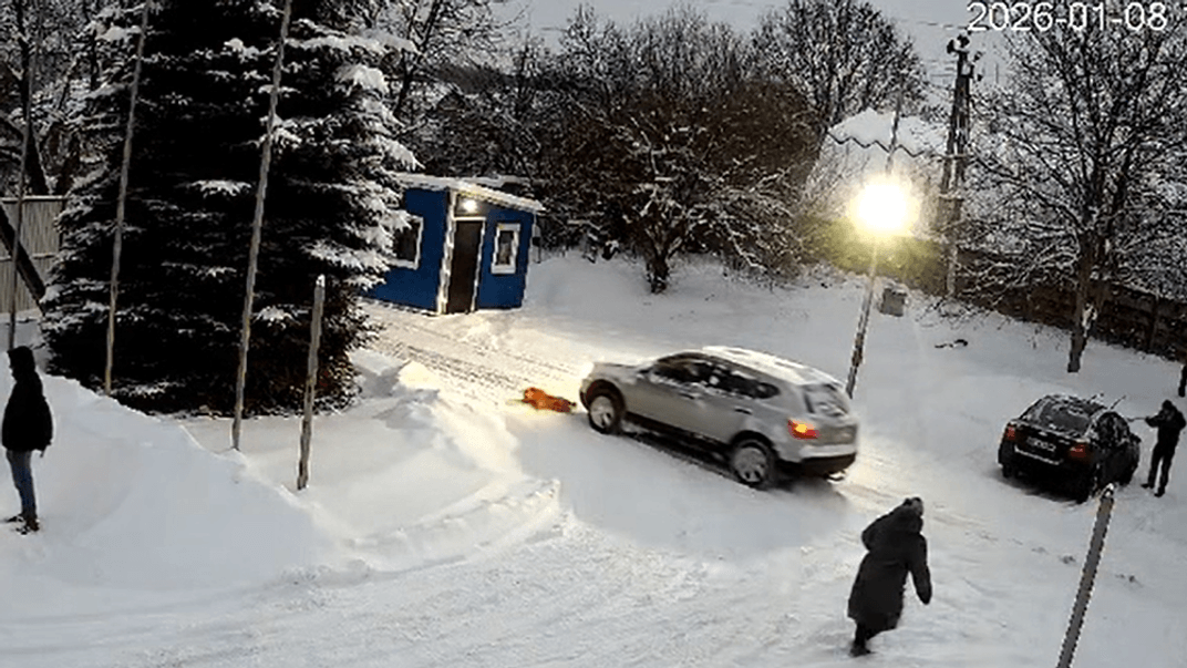 На Львівщині водій збив собаку й утік
