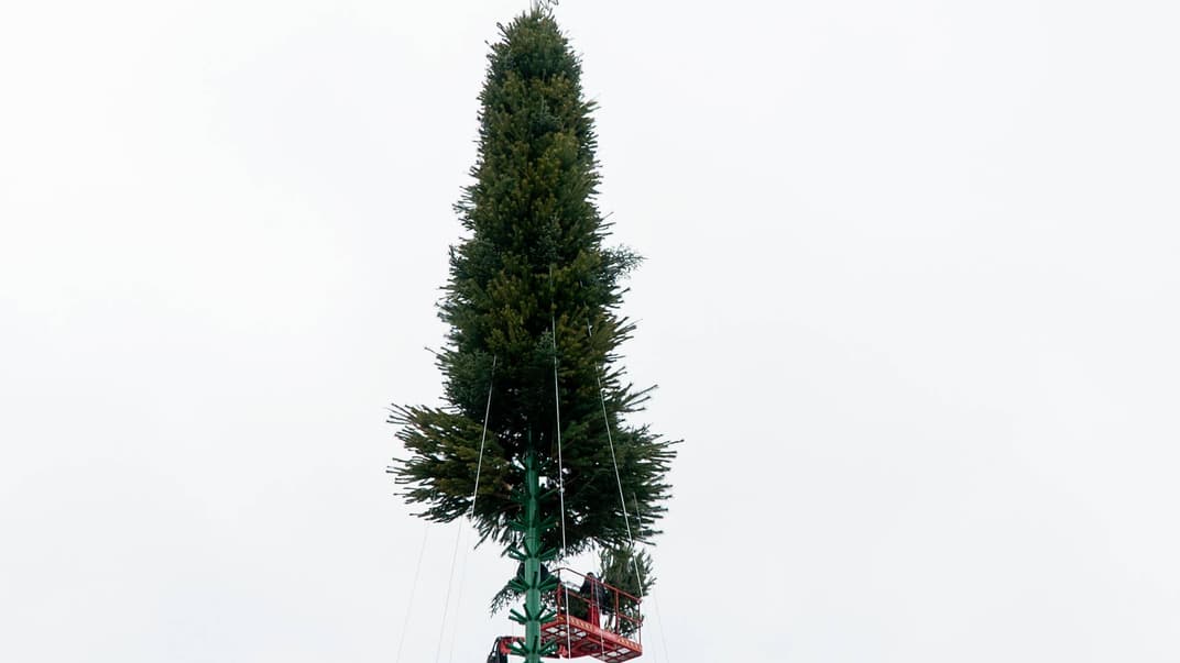 На Софійській площі у Києві почали встановлювати різдвяну ялинку, 6 грудня 2018 року