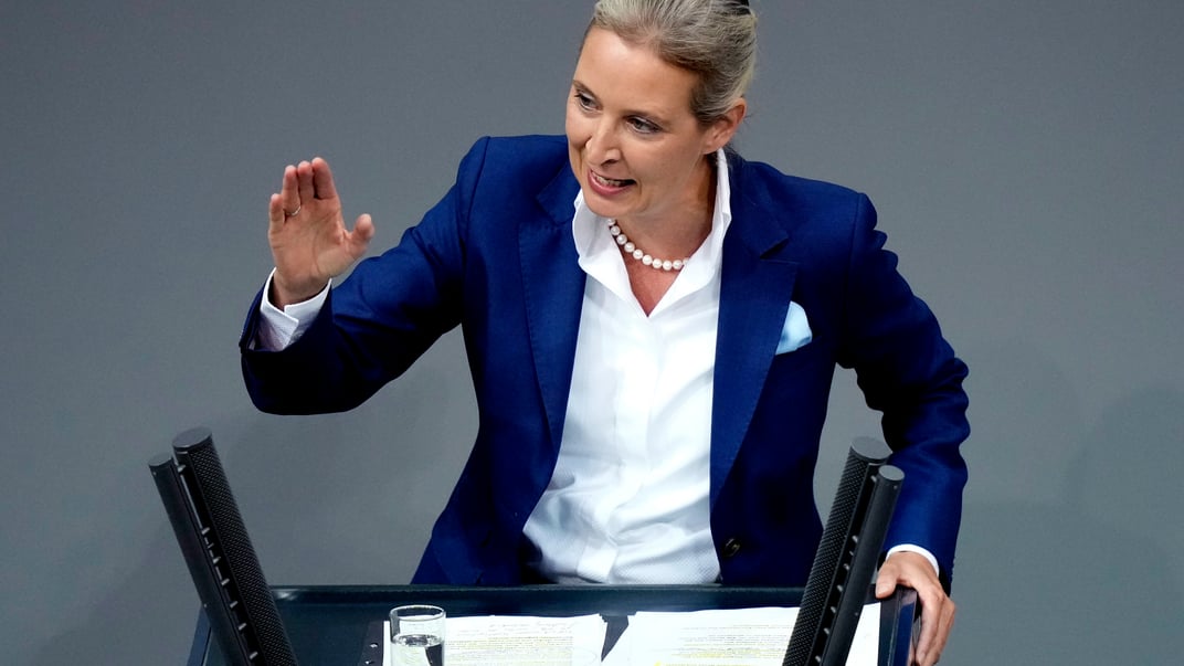 Депутат от «Альтернативы для Германии» Алис Вайдель выступает в Бундестаге