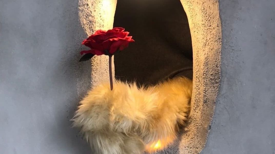 В Японии появилось кафе, где работникам не придется контактировать напрямую с клиентами