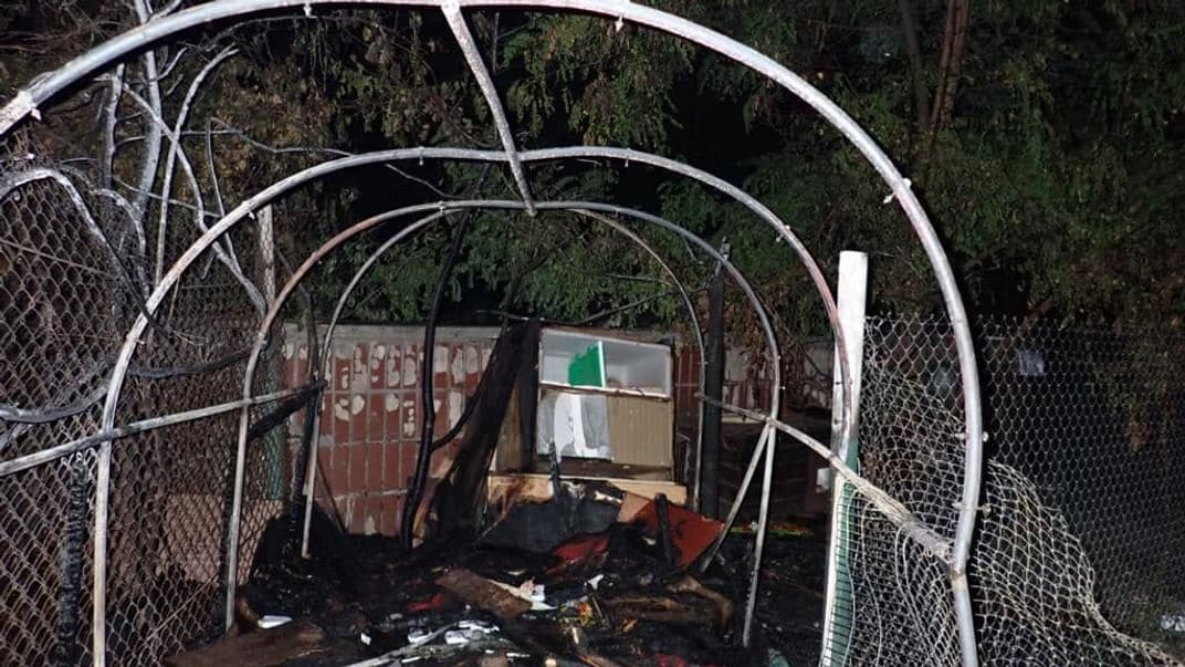 Последствия пожара в приюте для животных в Киеве, 24 сентября 2023 года