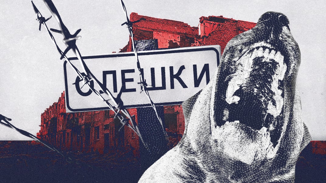 «Травят собак, чтобы те не мучились»: как выживают оккупированные Олешки, куда с мая не завозят еду