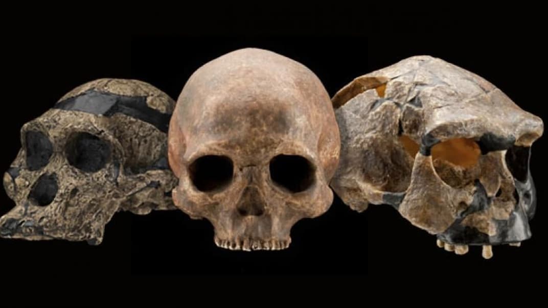 Изменения климата в течение последнего миллиона лет влияли на наш вид. Иллюстративное фото