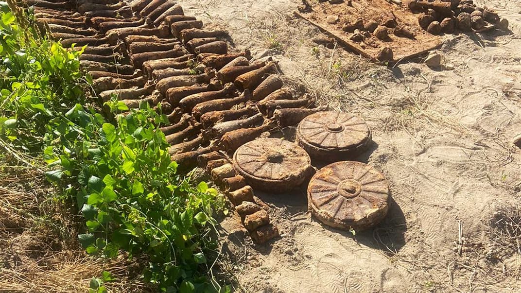 Обнаруженные взрывоопасные предметы на участке житомирянки