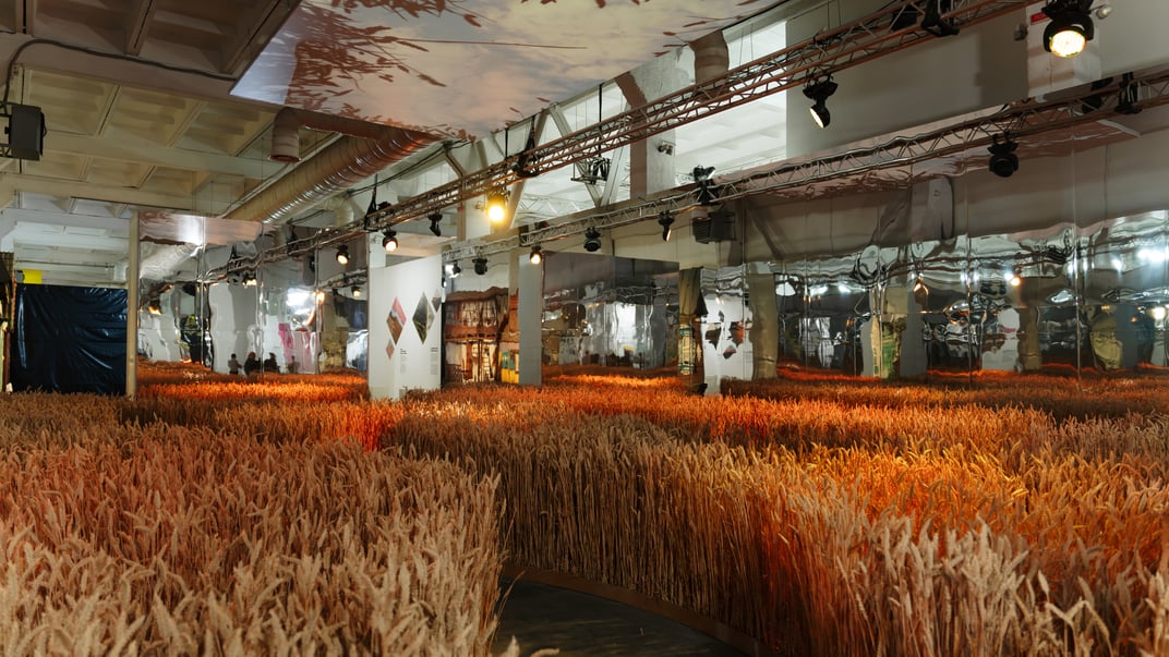 Пшеничне поле