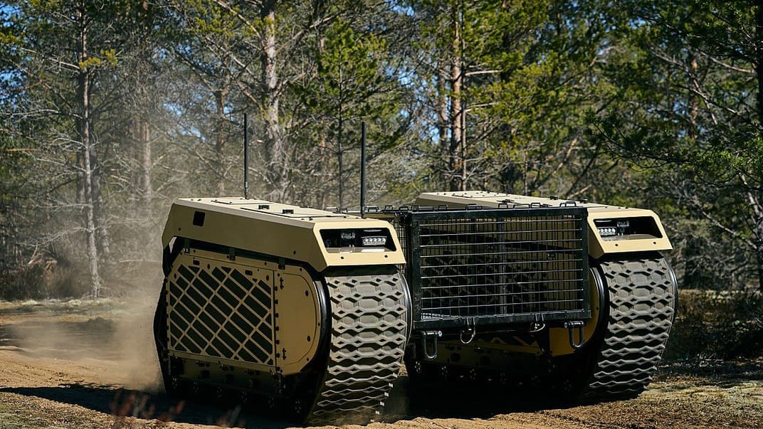 Themis. Иллюстративное фото