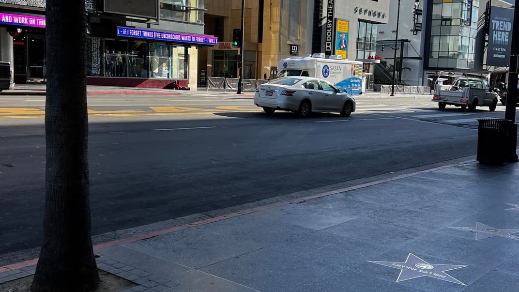 На Аллее славы в Голливуде появились звезды украинских животных на грани исчезновения