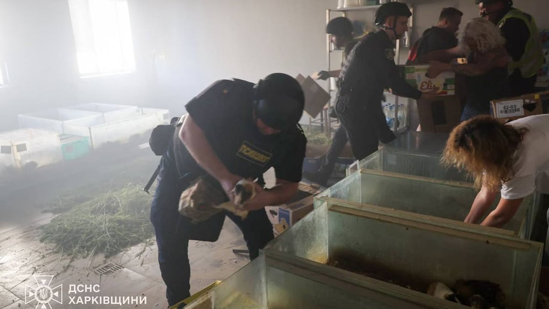 Фахівці рятують тварин після російської атаки на зоопарк Харкова, 15 червня 2026 року
