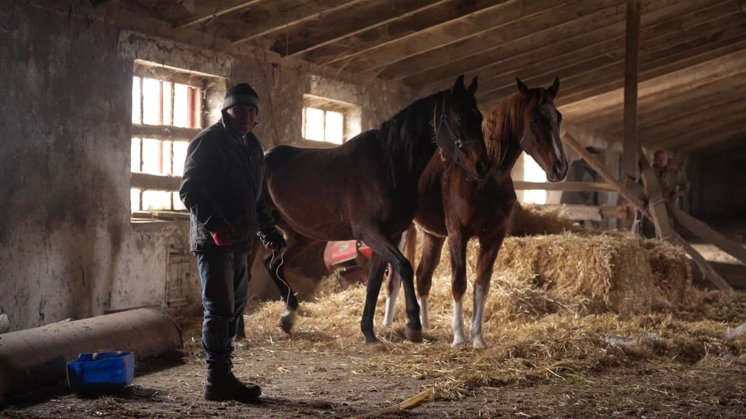 «Машину розбили, тіл не бачать. росіяни розуміють, що ми всередині». Евакуація тварин із червоної зони