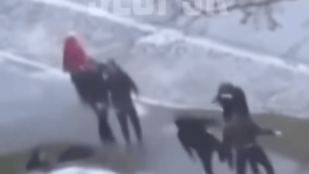 Бійка українських та польських учнів у Слупську