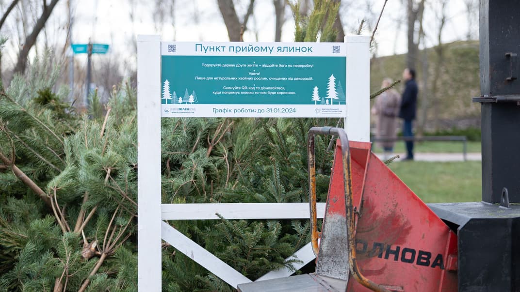 Пункт приема елок