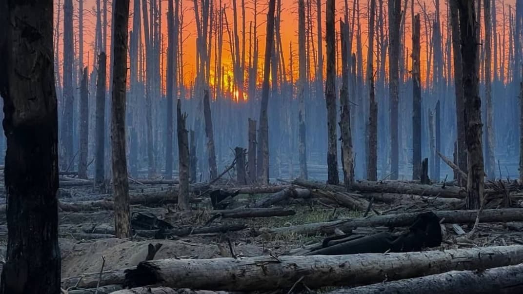 Знищений боями Серебрянський ліс на Луганщині