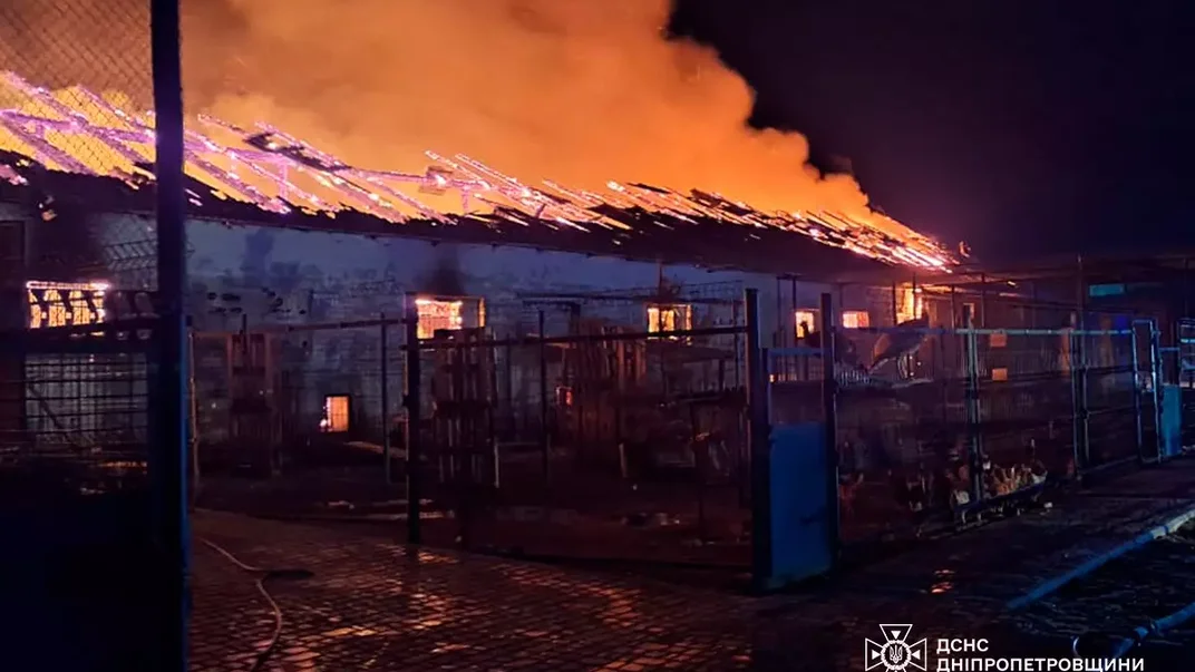 Пожежа на кінній фермі у Дніпропетровській області, 18 листопада 2024 року