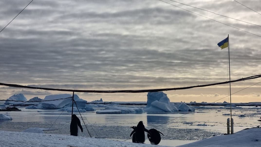 Пингвины возле станции «Академик Вернадский»