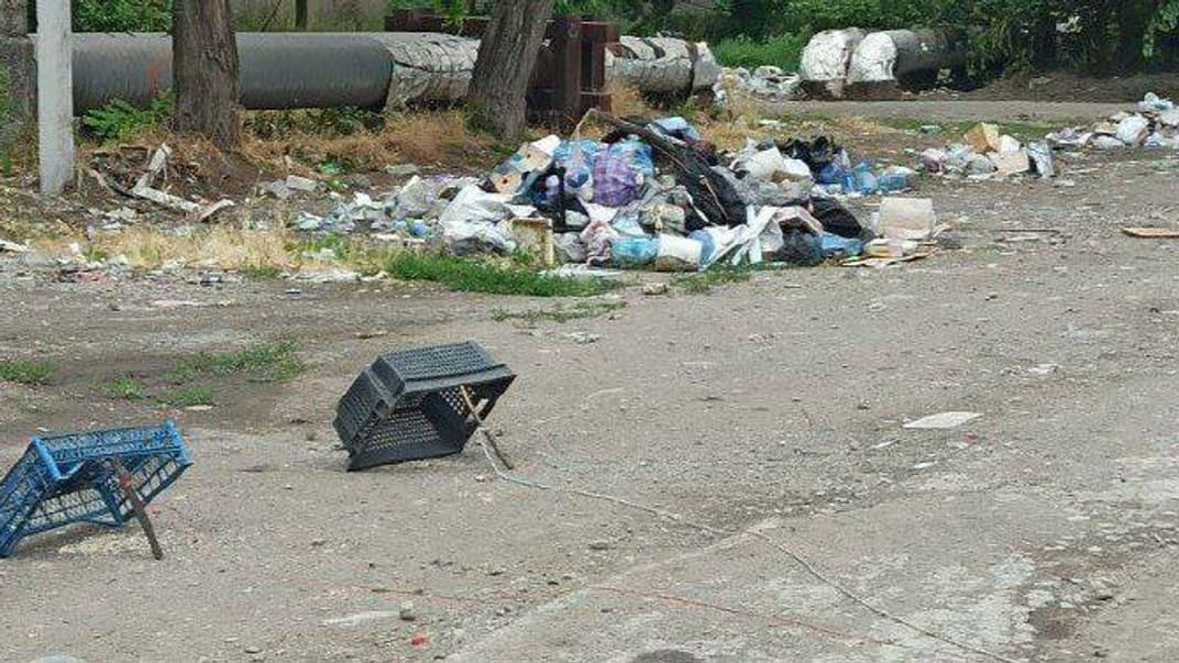 Ловушки из подручных средств для ловли голубей, Мариуполь