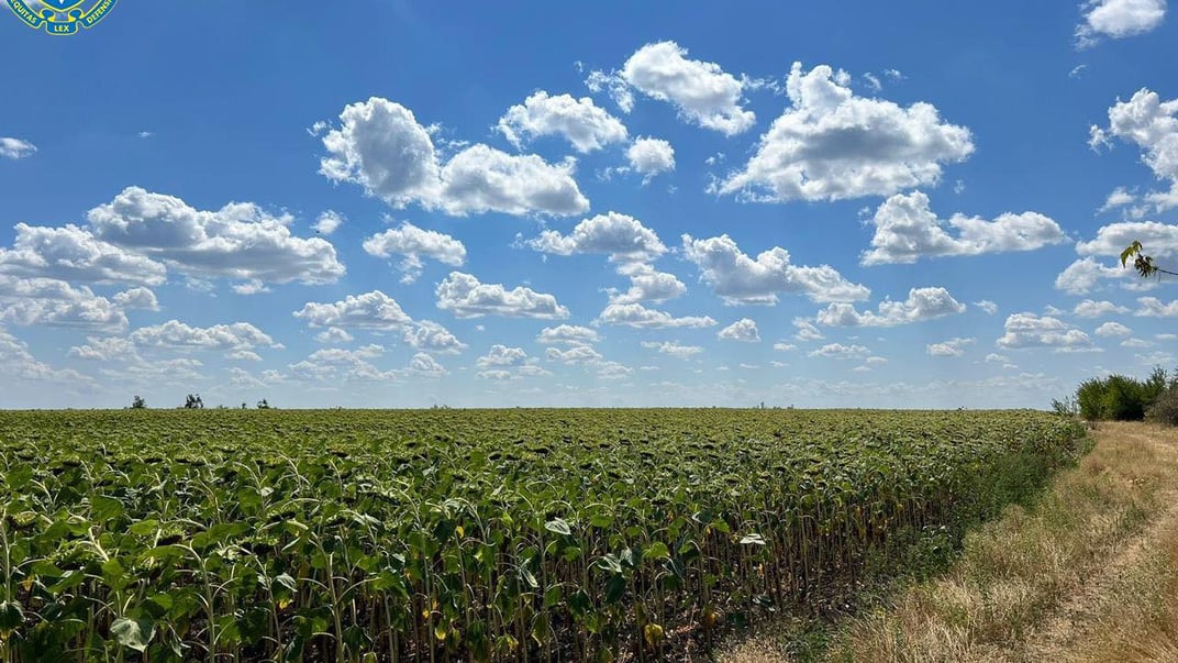На Дніпропетровщині фермери роками незаконно засіювали танковий полігон