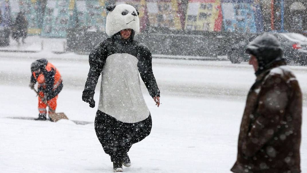 Ілюстративне фото