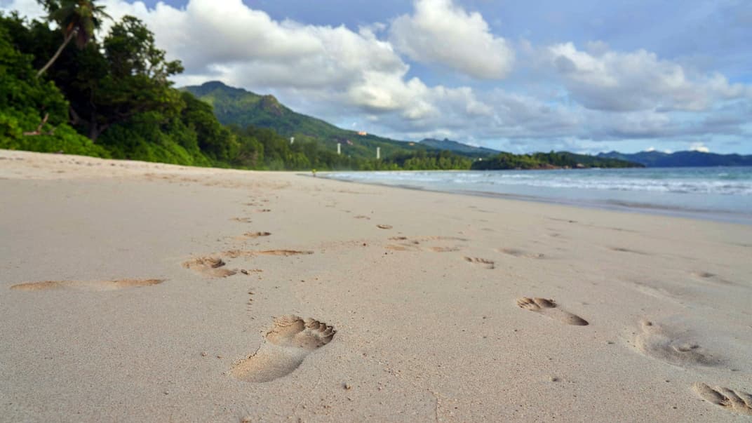 Пляж на Сейшельских островах. Иллюстративное фото