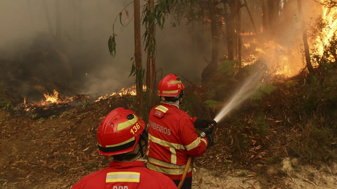 Иллюстративная фотография. Пожарные тушат огонь в эвкалиптовом лесу на окраине Север-ду-Воги — города на севере Португалии, который уже несколько дней охвачен лесными пожарами, 18 сентября 2024 года