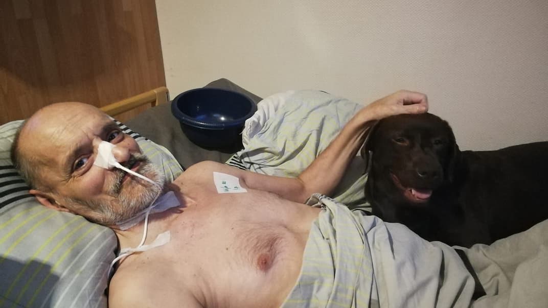 Француз Ален Кок, 2019 рік