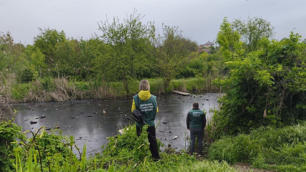 Екоінспектори на місці забруднення річки Мокра Московка