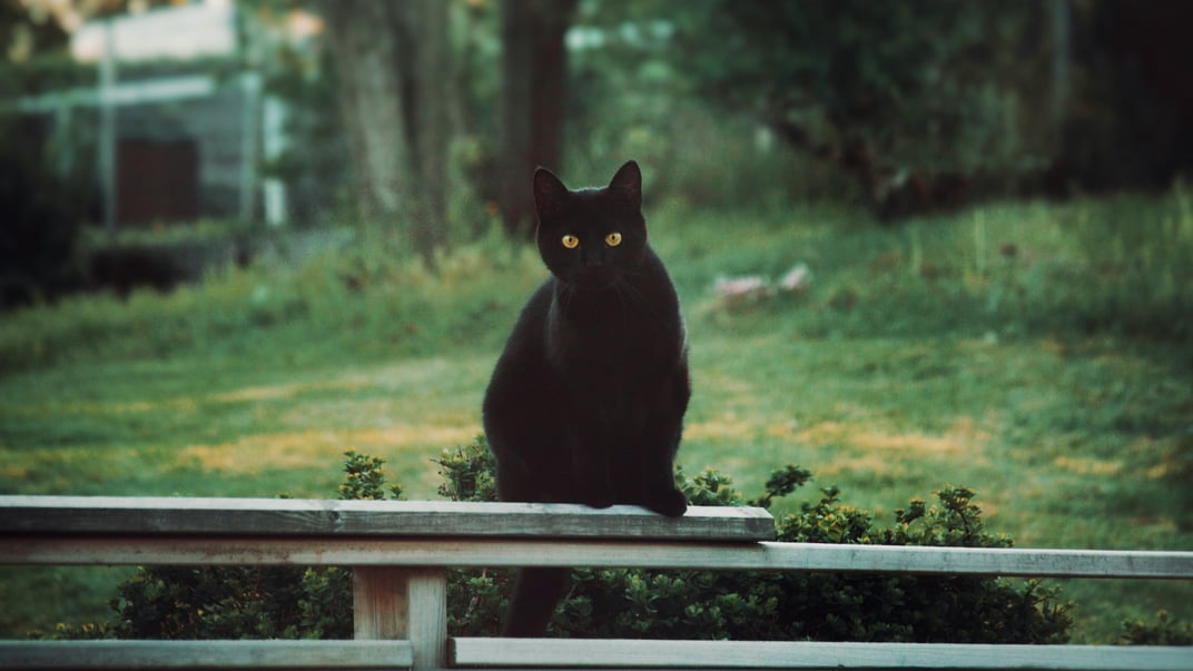 Ілюстративне фото