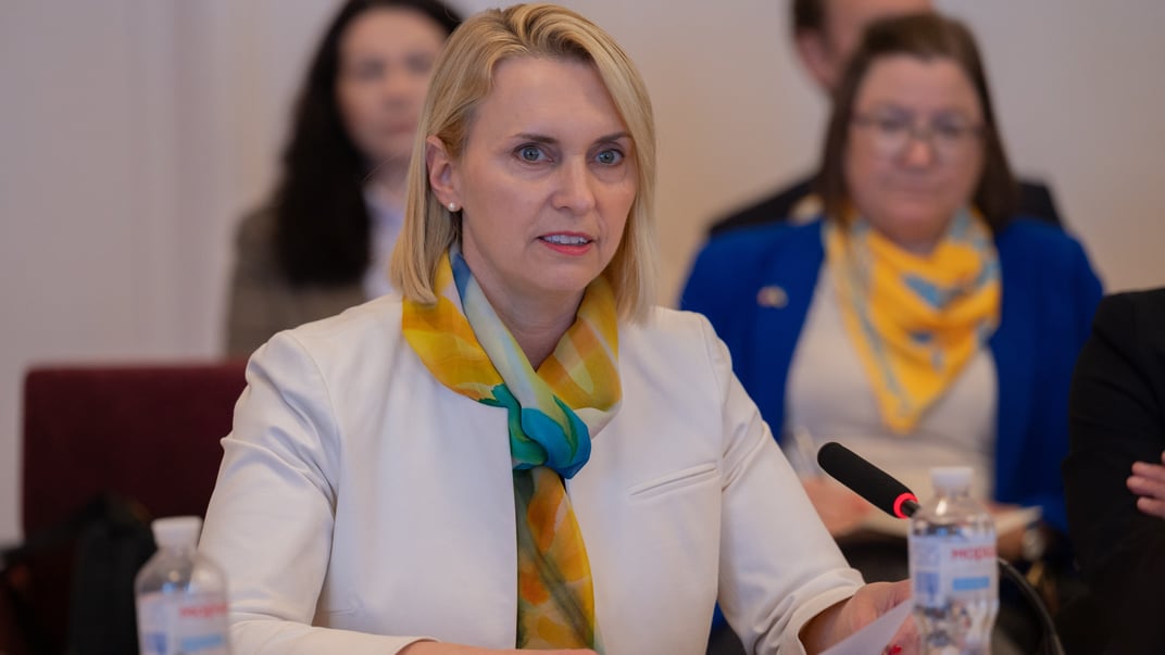 Колишня посолка США в Україні Бріджит Брінк