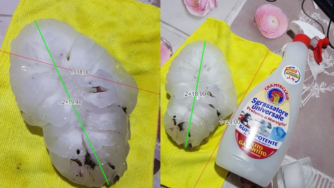 19-сантиметровая градина