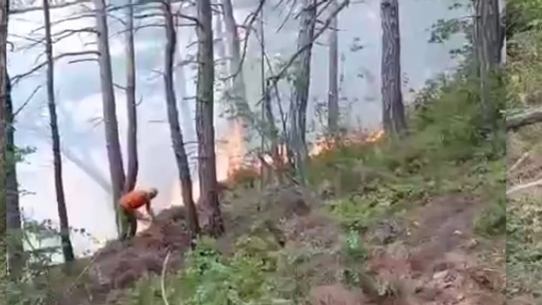 У Краснодарському краї рф гасили лісові пожежі після падіння уламків дрона