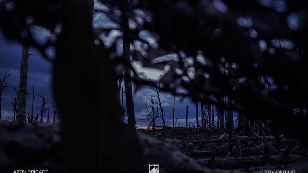 Серебрянський ліс