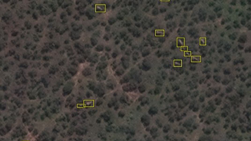 Распознавание слонов на спутниковом снимке