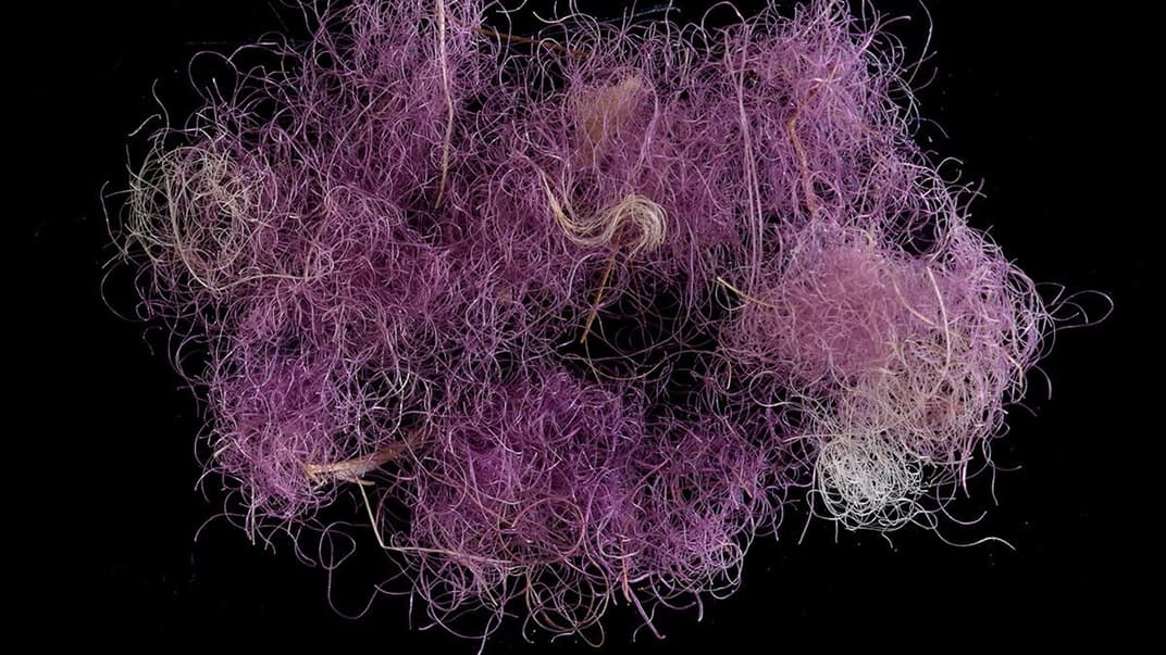 В Ізраїлі знайшли фрагмент текстилю часів правління царя Давида. Унікальність тканини — у фарбі, дорожчій за золото