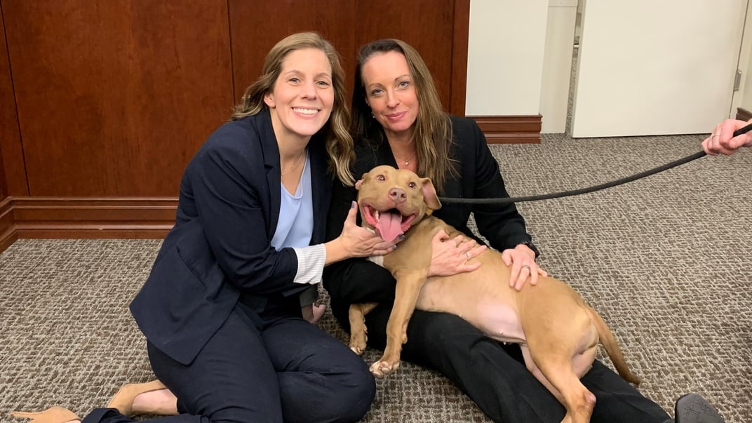 Прокурорки з врятованою Бебі Шарк