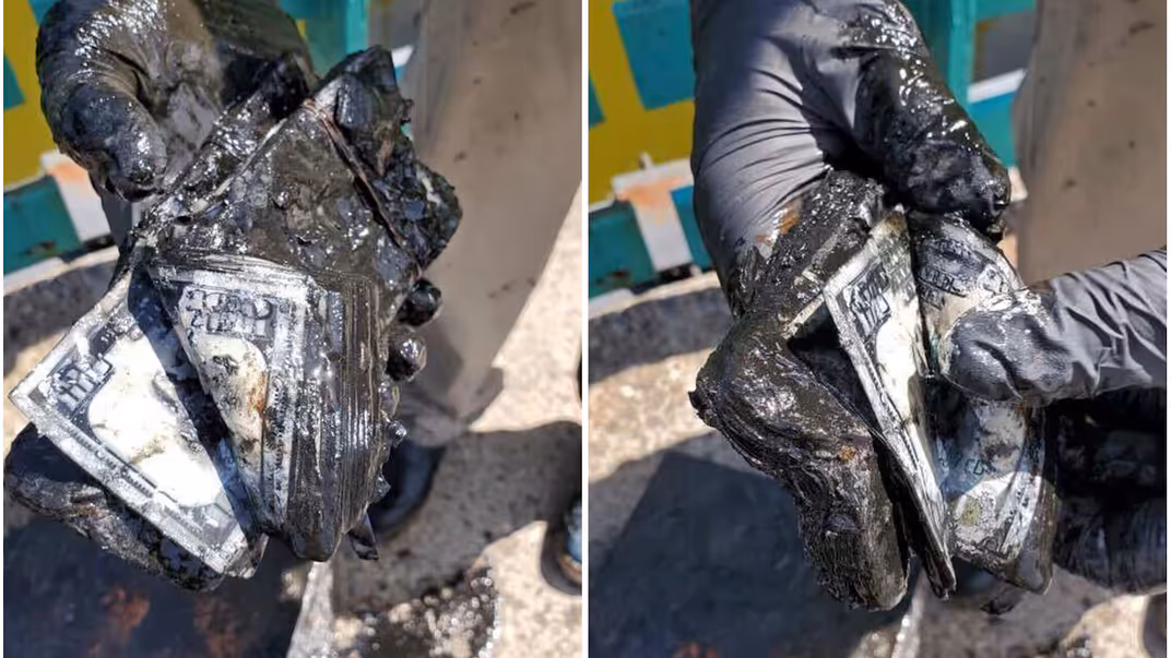 Знайдені в сейфі купюри