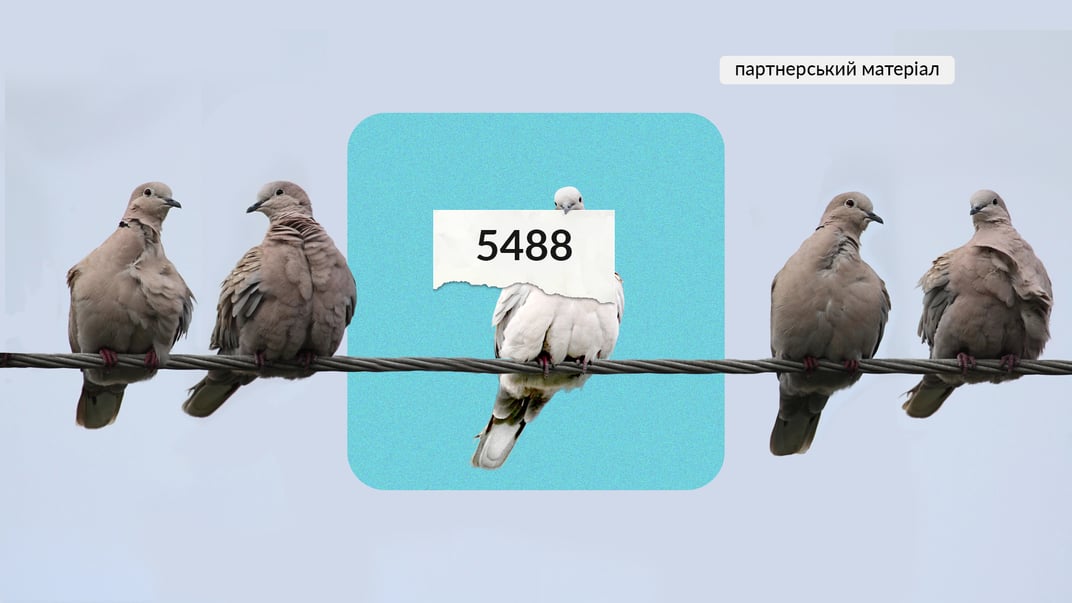 Чому Верховна Рада має ухвалити законопроєкт 5488 про нетерпимість? Пояснюємо на прикладах