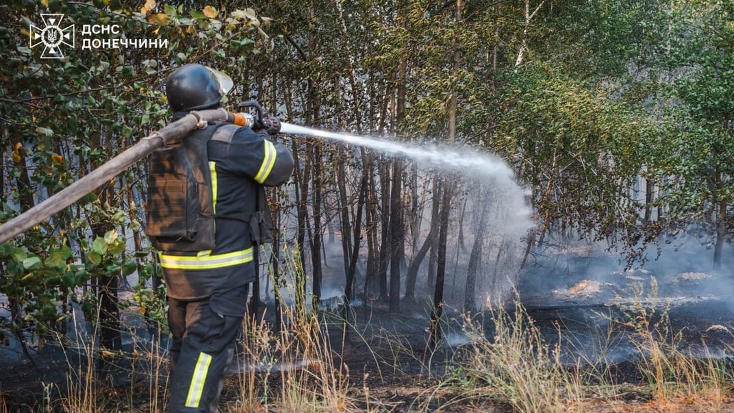 Пожежник ліквідовує лісову пожежу на Лиманщині, спричинену російським обстрілом