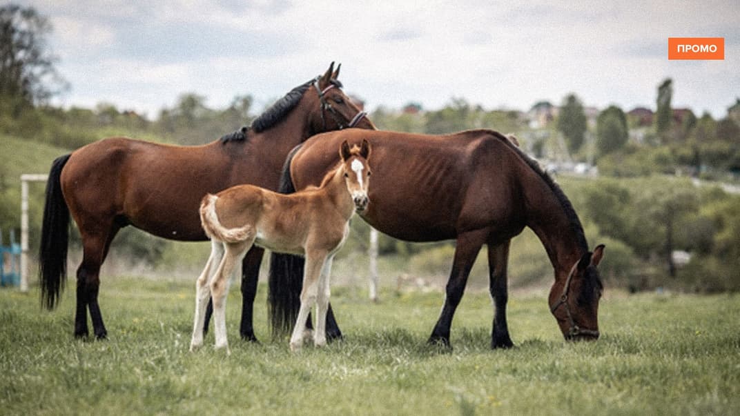 Ілюстративне фото