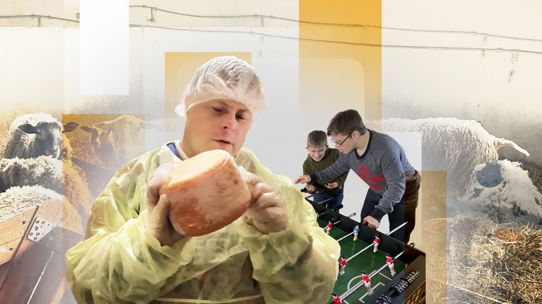 Ферма доброти: як любов і сир змінюють життя людей з ментальною інвалідністю