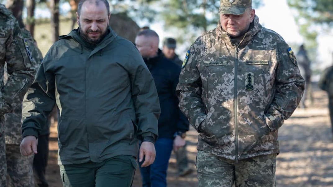Рустем Умеров и Валерий Залужный
