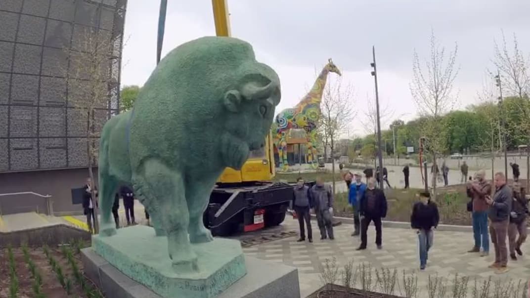 Нова бронзова скульптура зубра біля зоопарку КИєва