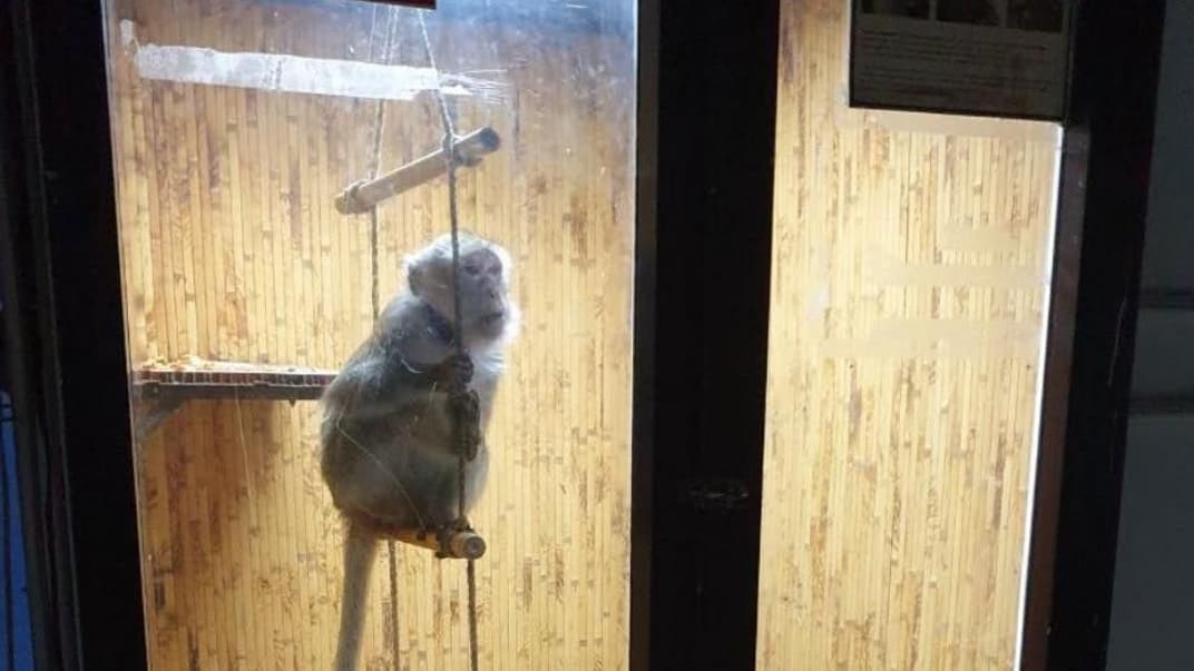 Выставка животных «Подводный мир», Тернополь, 14 октября 2023 года