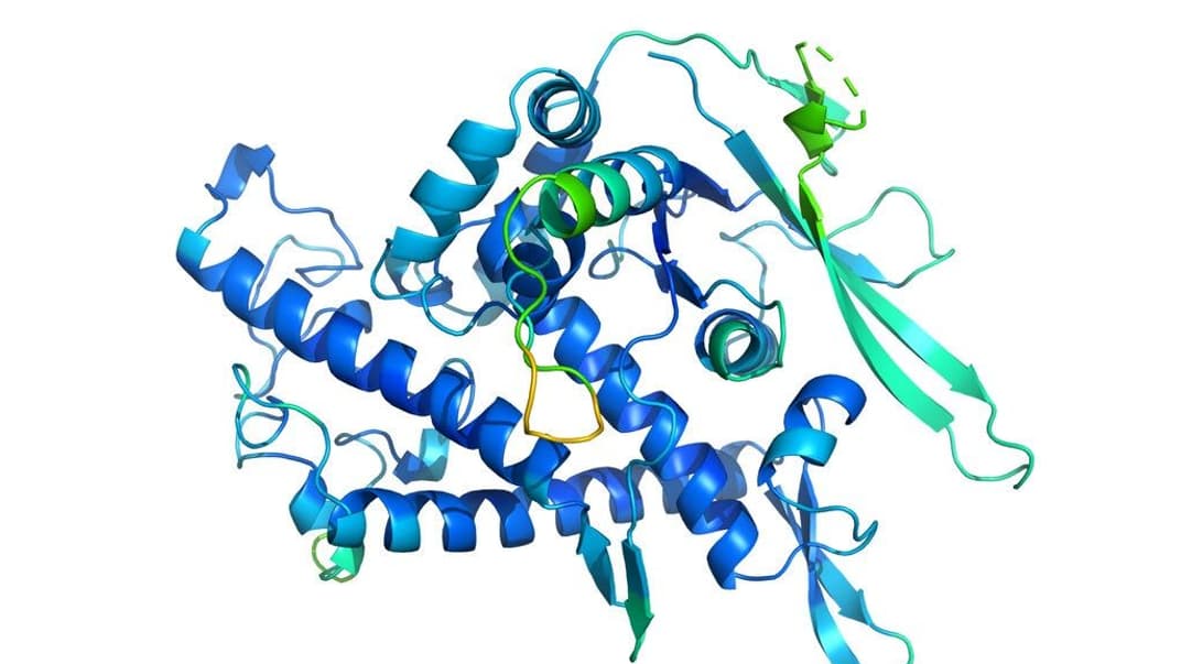 Компьютерная модель белков, исследованная DeepMind