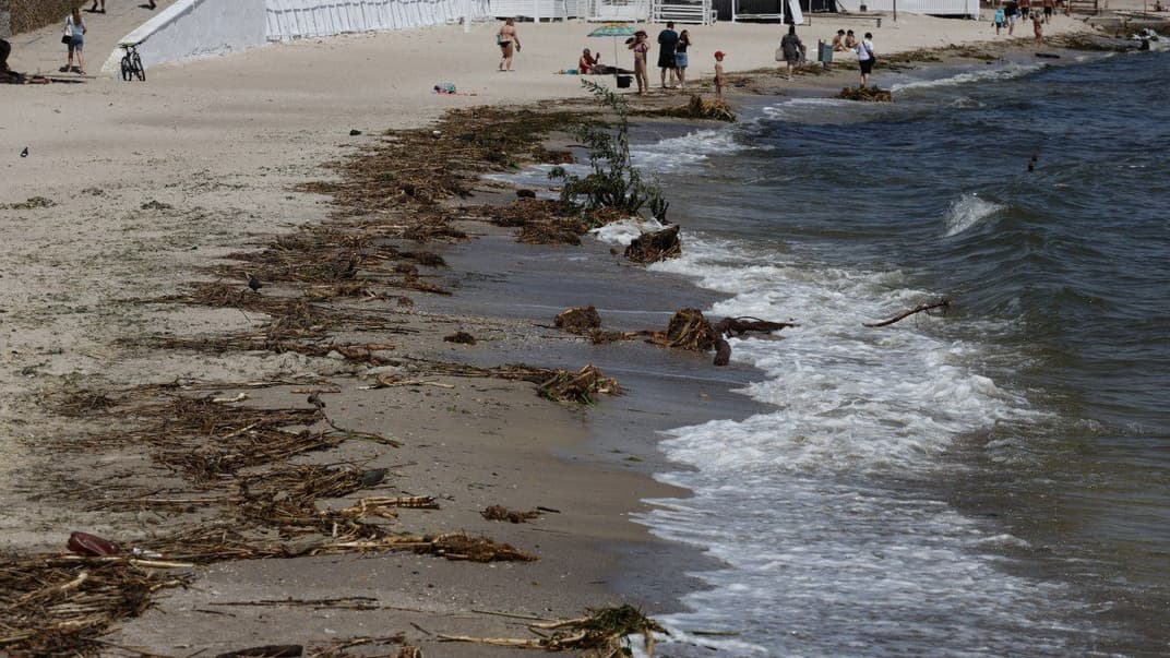 Сміття, яке прибило до берега в Одесі після підриву росіянами Каховської ГЕС, 10 червня 2023 року