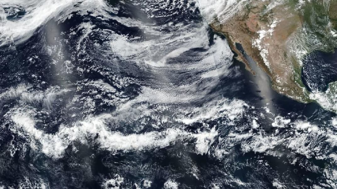 Центральна та східна ділянки північної частини Тихого океану