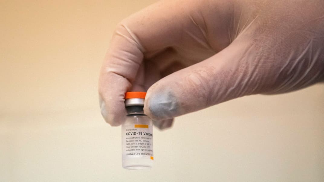 Ампула китайской вакцины CoronaVac. Иллюстративное фото