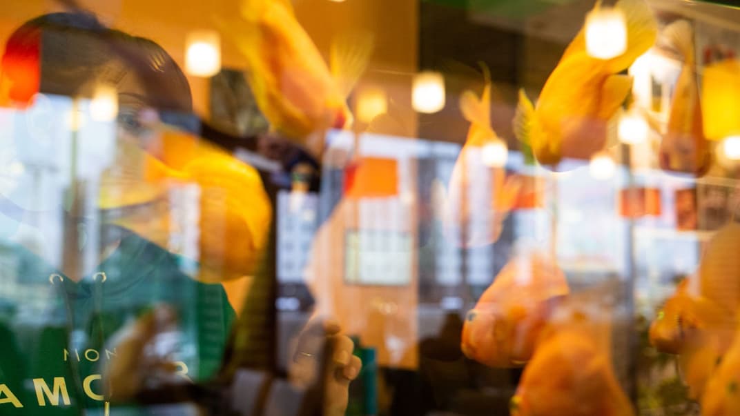 «Це — не моя дитина. Це — моя робота». Як в Україні працює ринок сурогатного материнства