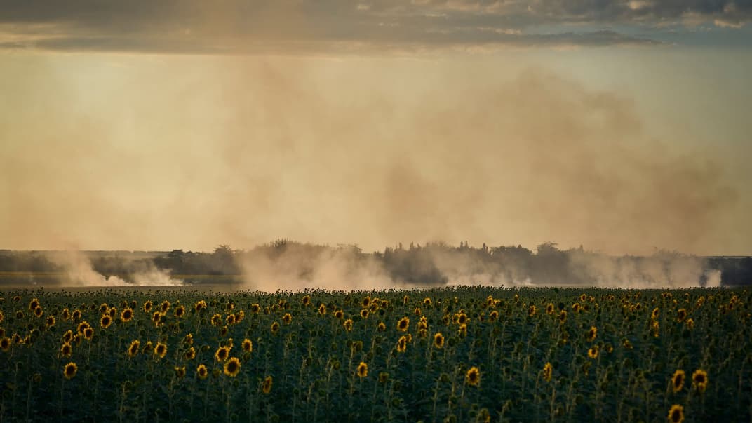 Дим підіймається над полем соняшників на лінії фронту в Донецькій області, 9 серпня 2023 року