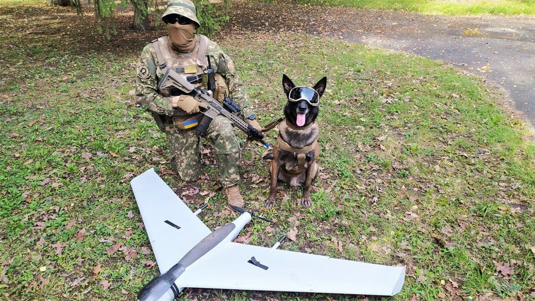 Пес, нашедший сбитый российский беспилотник