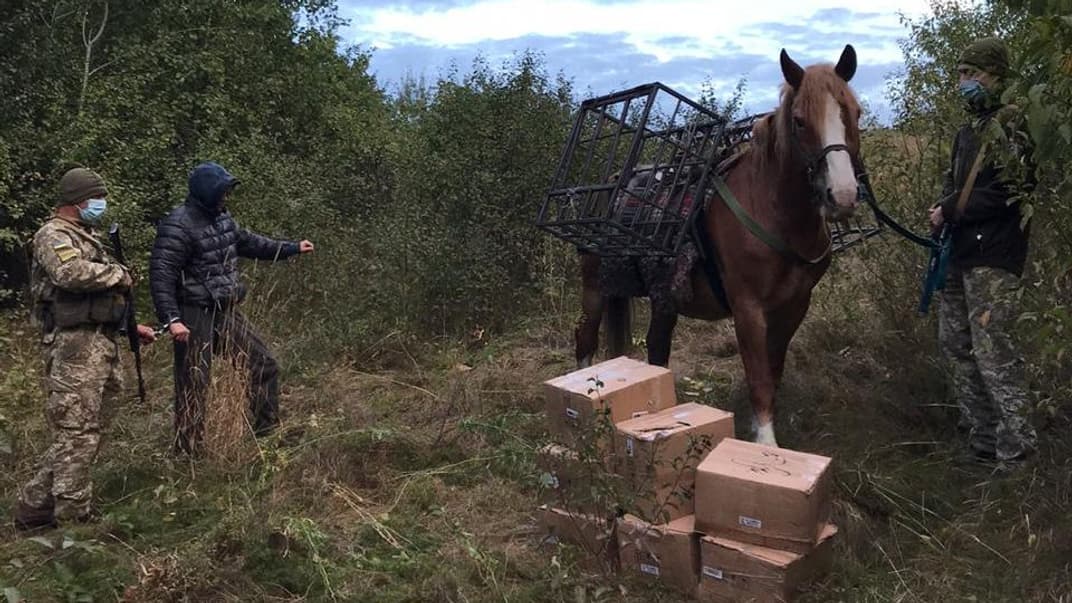 Кінь не поміг. Харківські прикордонники затримали контрабандиста, який віз тютюн для кальяну в Росію